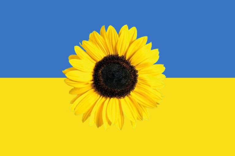 Vlag